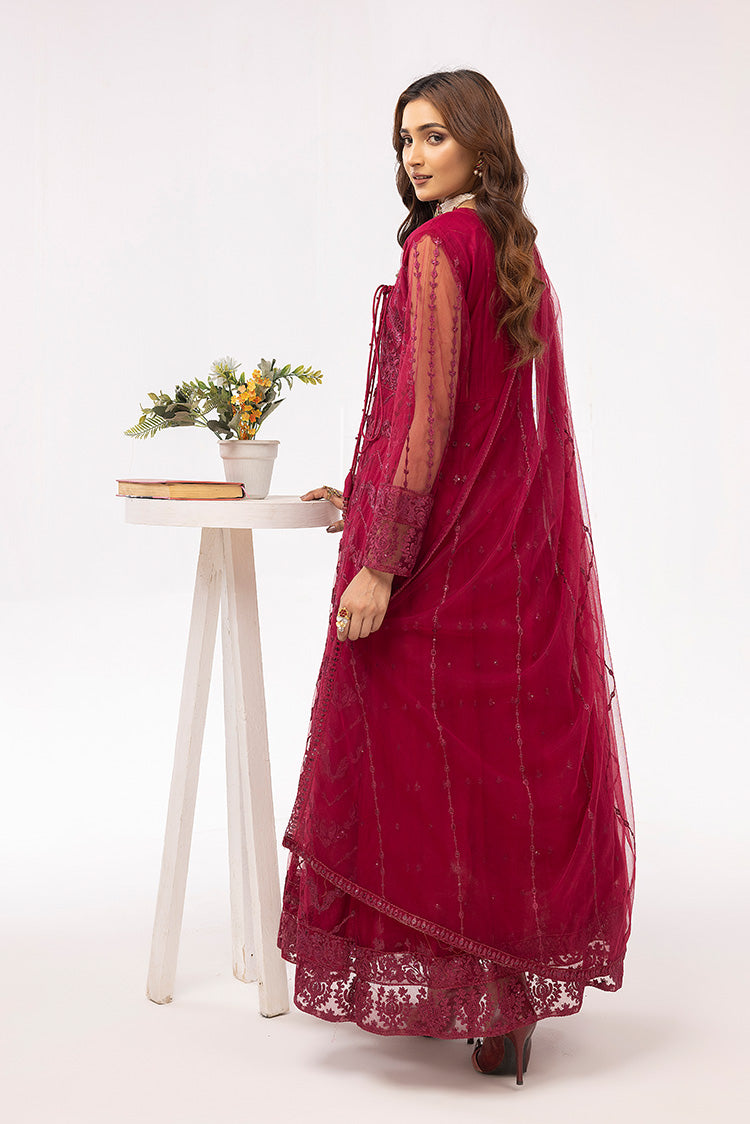 Picture of Ellena - Embroidered Net Maxi Dress - Available at Raja Sahib