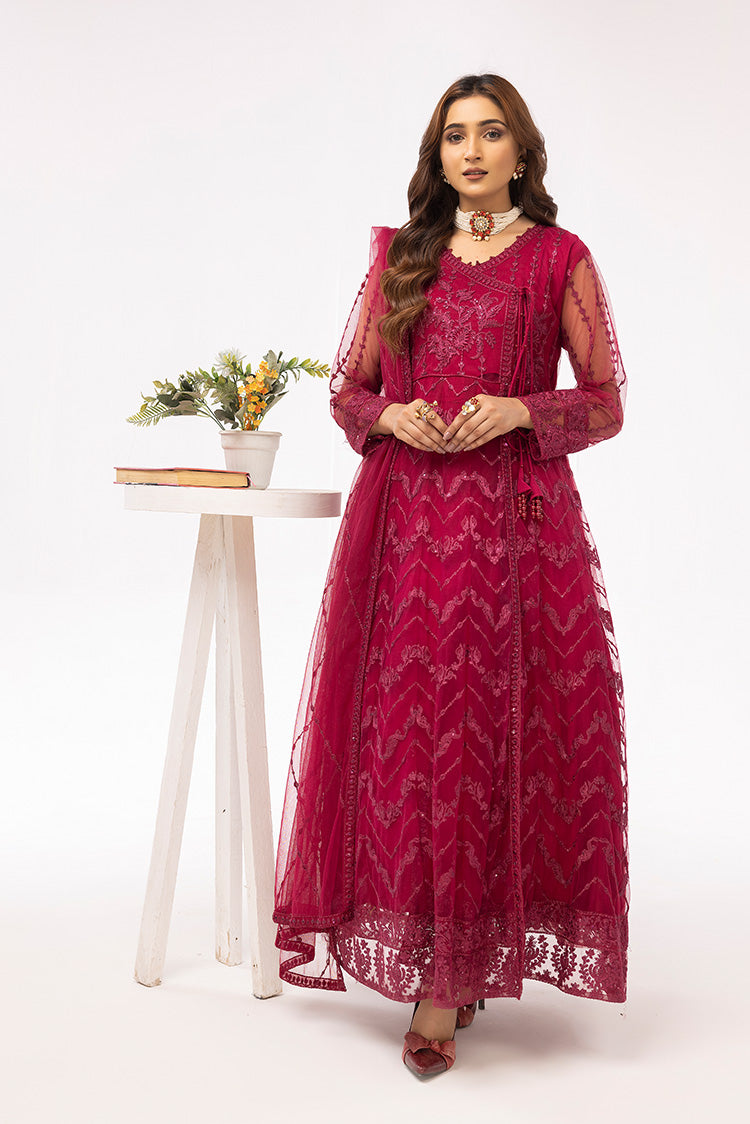 Picture of Ellena - Embroidered Net Maxi Dress - Available at Raja Sahib