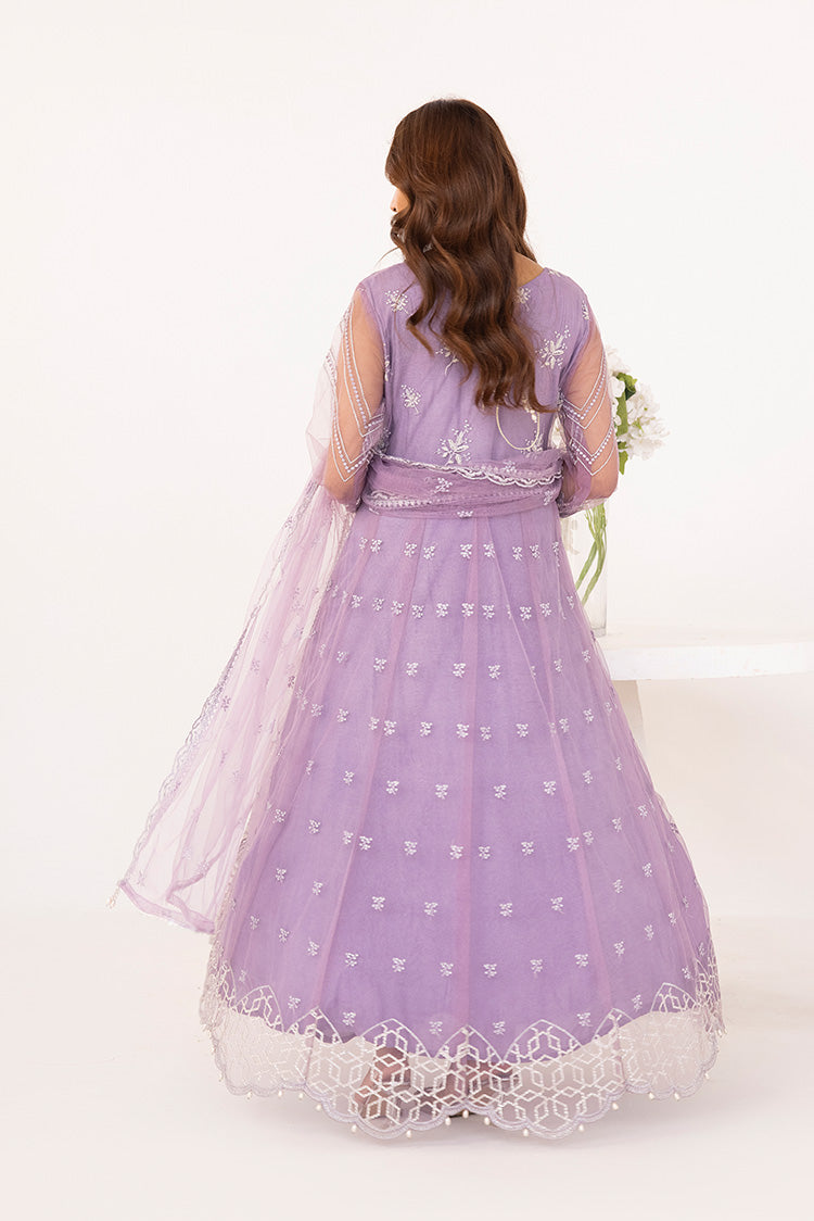 Picture of Ellena - Embroidered Net Maxi Dress - Available at Raja Sahib