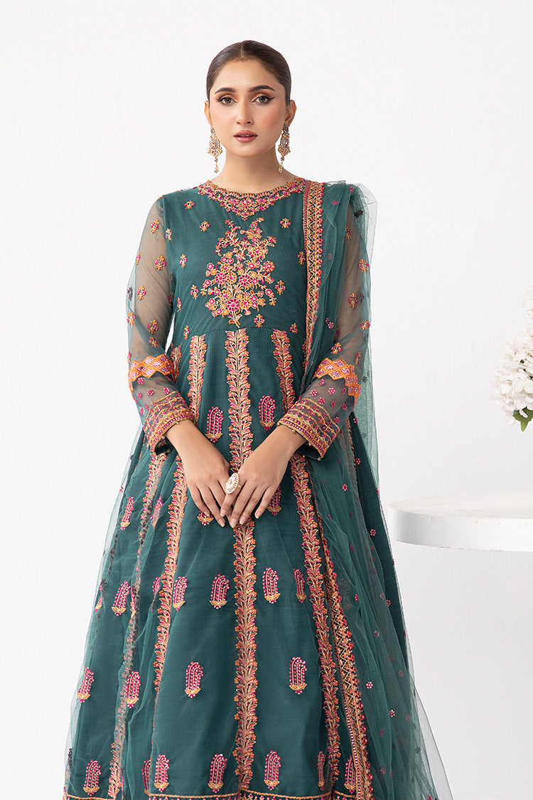 Picture of Ellena - Embroidered Net Maxi Dress - Available at Raja Sahib