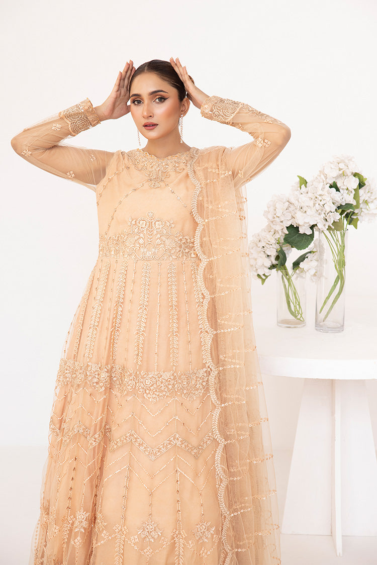 Picture of Ellena - Embroidered Net Maxi Dress - Available at Raja Sahib