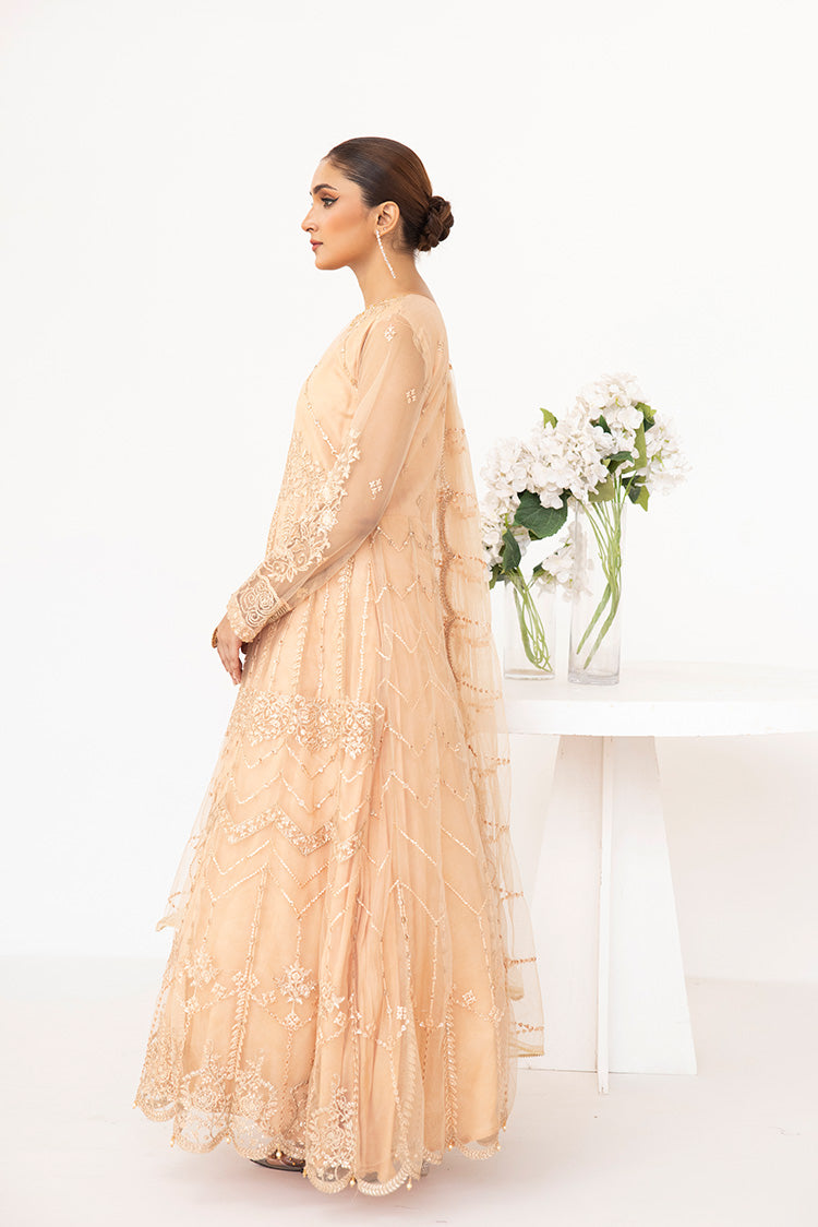 Picture of Ellena - Embroidered Net Maxi Dress - Available at Raja Sahib