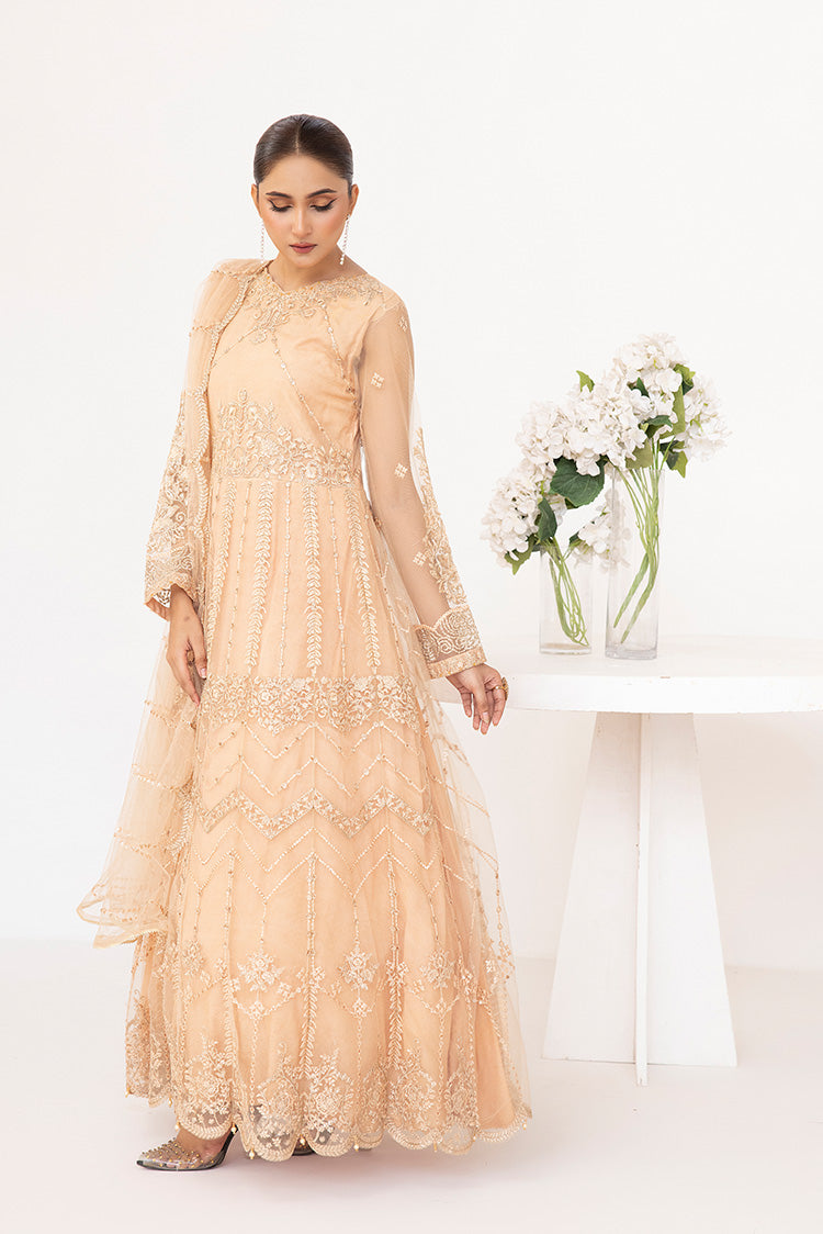 Picture of Ellena - Embroidered Net Maxi Dress - Available at Raja Sahib