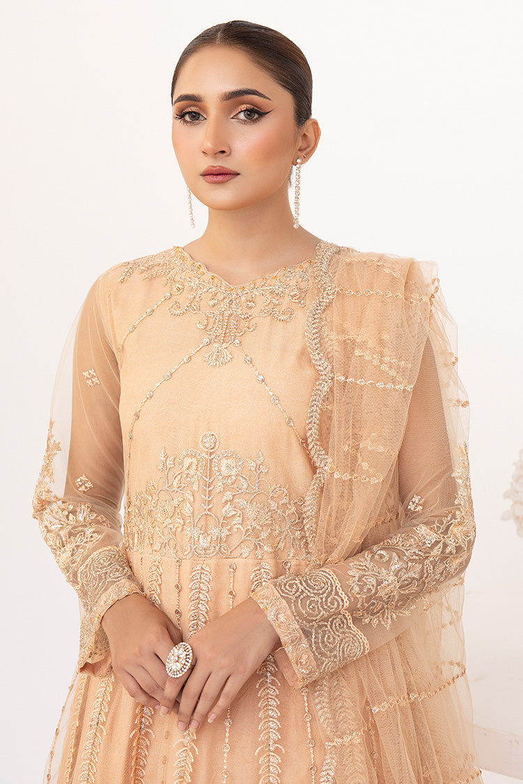 Picture of Ellena - Embroidered Net Maxi Dress - Available at Raja Sahib