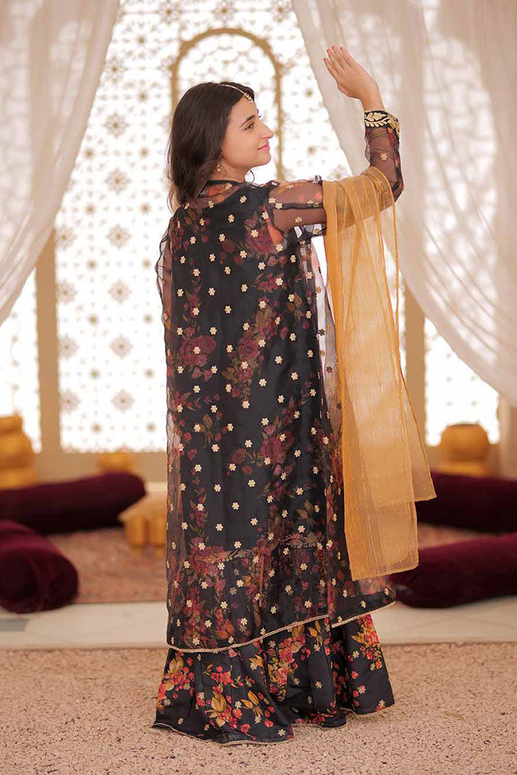 Picture of Senorita - GDD-02373 | Brown & Multicolor | Formal 3 Piece Suit  | Organza Row Silk Grip - Available at Raja Sahib