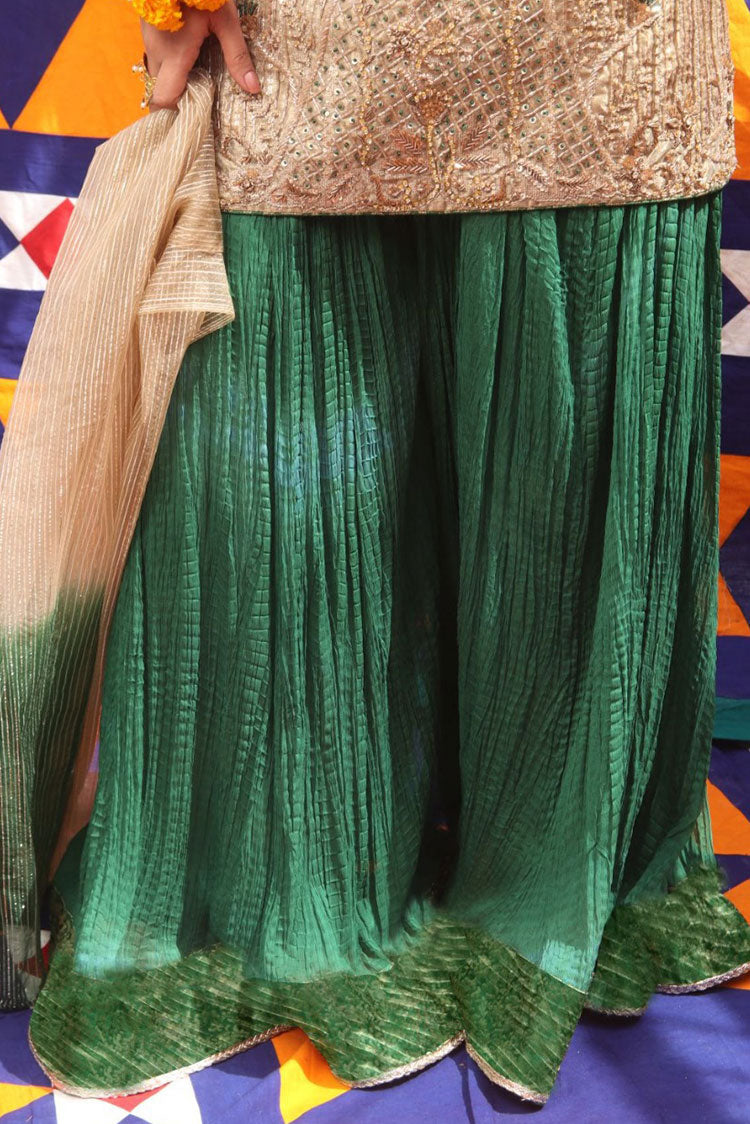 Picture of Senorita - LDD-01891 | Beige & Green | Formal 3 Piece Suit | Pure Banarsi Organza Self Base - Available at Raja Sahib
