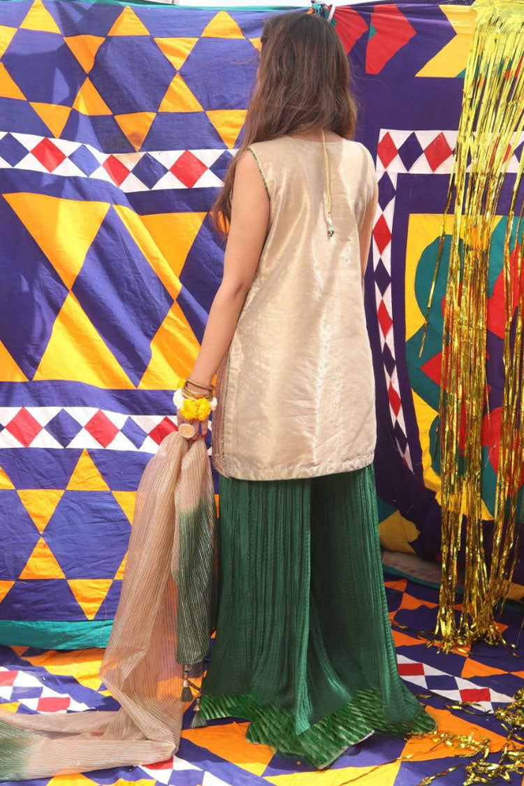 Picture of Senorita - LDD-01891 | Beige & Green | Formal 3 Piece Suit | Pure Banarsi Organza Self Base - Available at Raja Sahib
