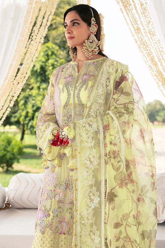 Picture of Phul Motiya Da - Nargis Lfu-10 - Available at Raja Sahib