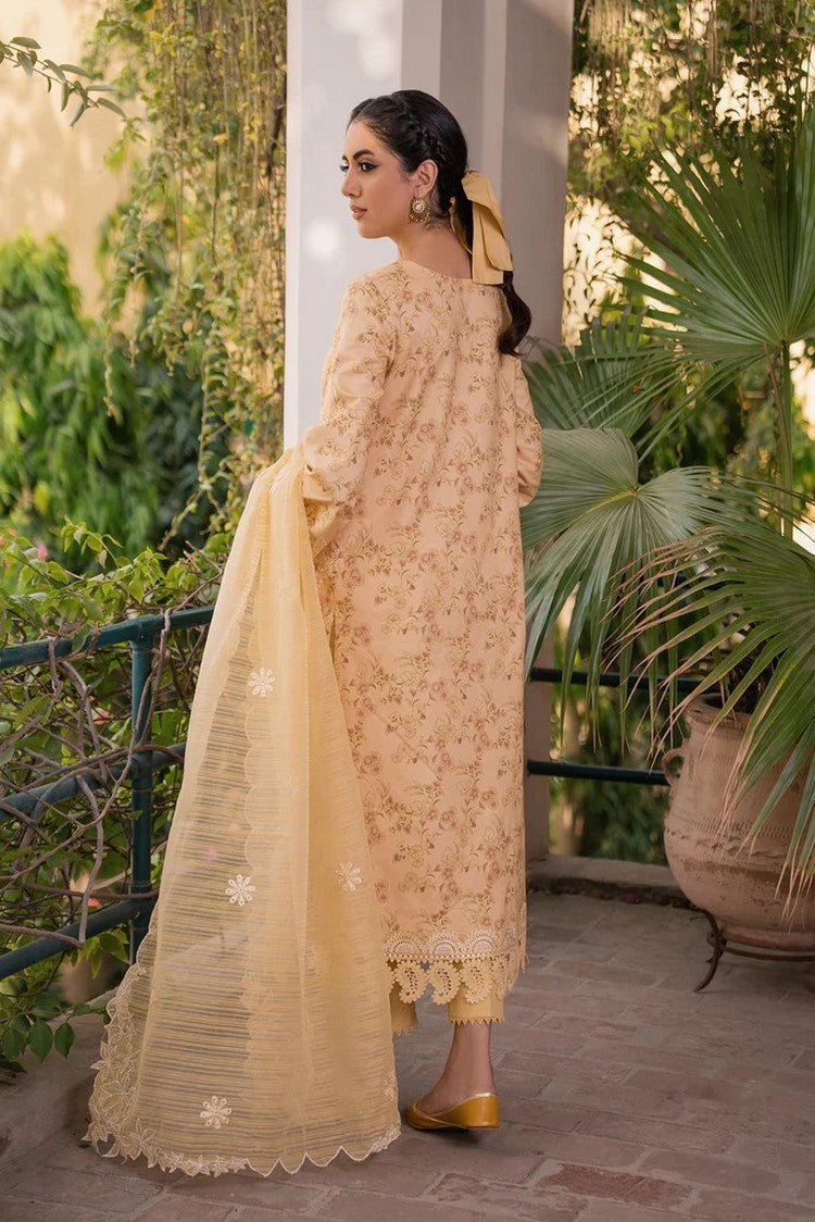 Picture of Aabyaan - Raiya (AC 01) Shezlin Chikankari Collection - Available at Raja Sahib