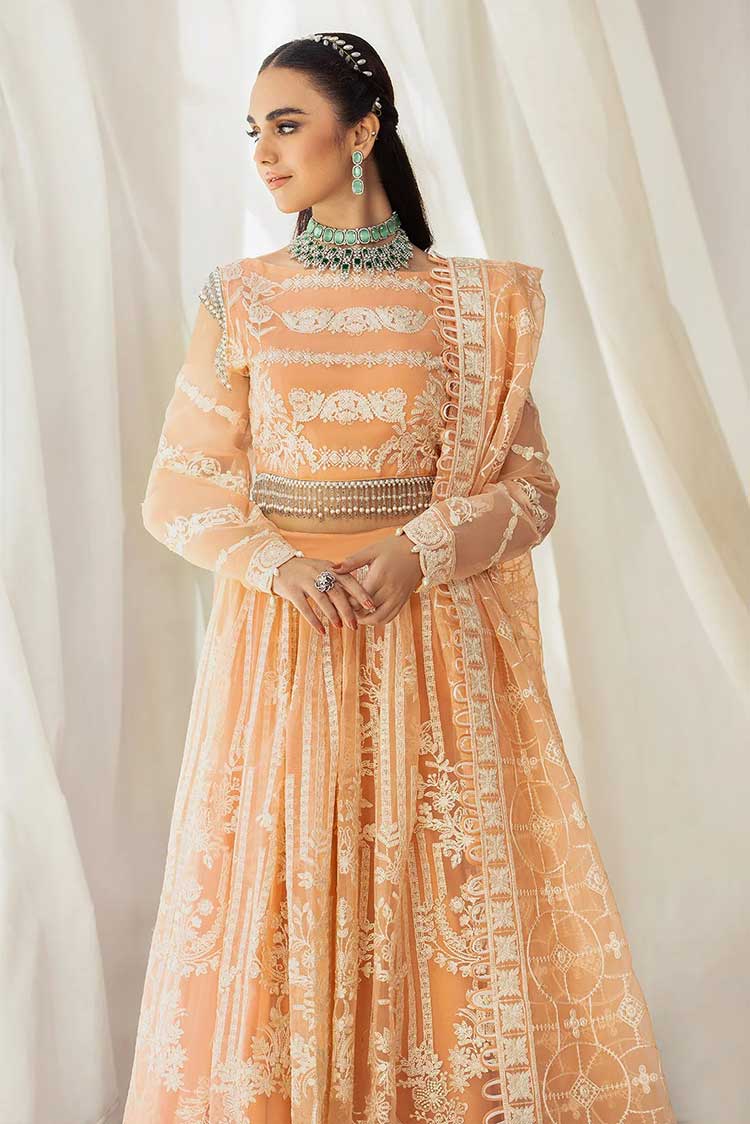 Picture of House of Nawab - 04 Meshki Gulmira Luxury Collection Vol 3 - Available at Raja Sahib